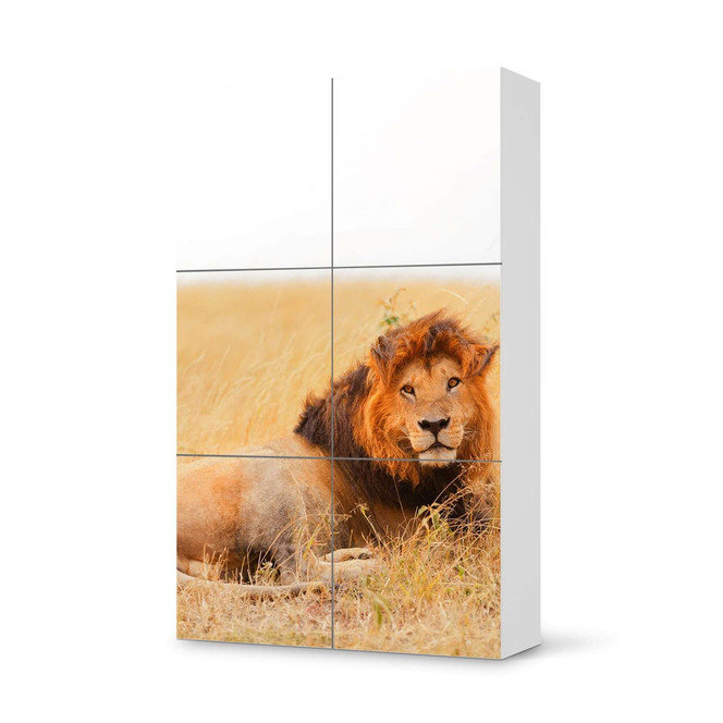 Möbel Klebefolie IKEA Besta Schrank 6 Türen (hoch) - Lion King- Bild 1