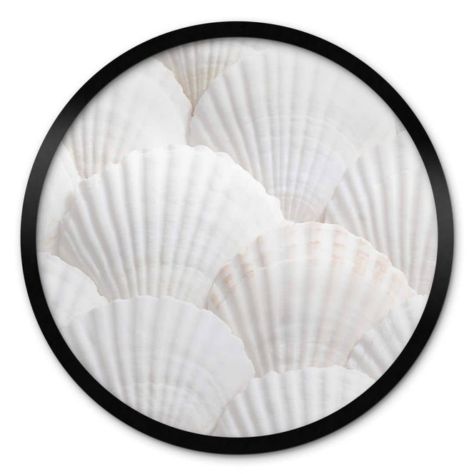Poster 1X Studio - Muschel Ensemble - Rund