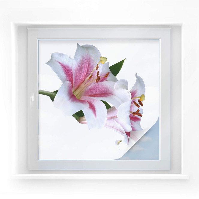 Sichtschutzfolie Lilien - quadratisch