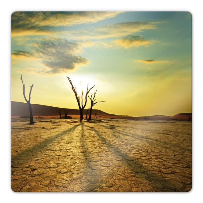 Glasbild Desert Valley