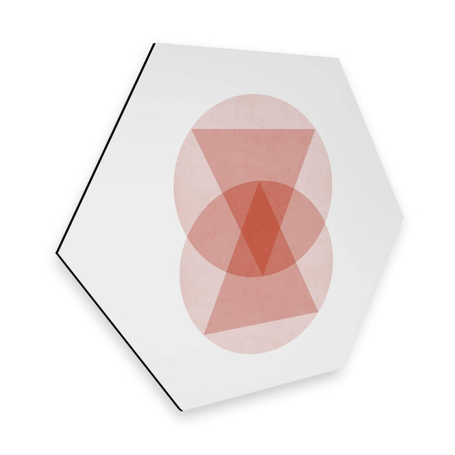 Hexagon - Alu-Dibond Nouveauprints - Circles and triangles pink