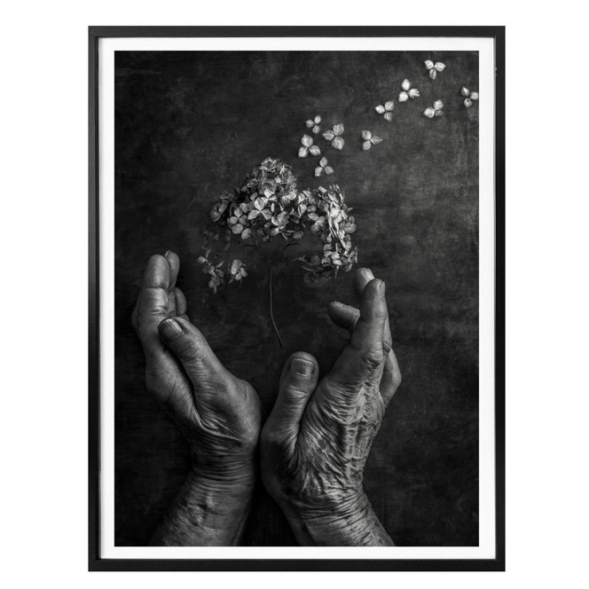 Poster Clough - Tempus fugit