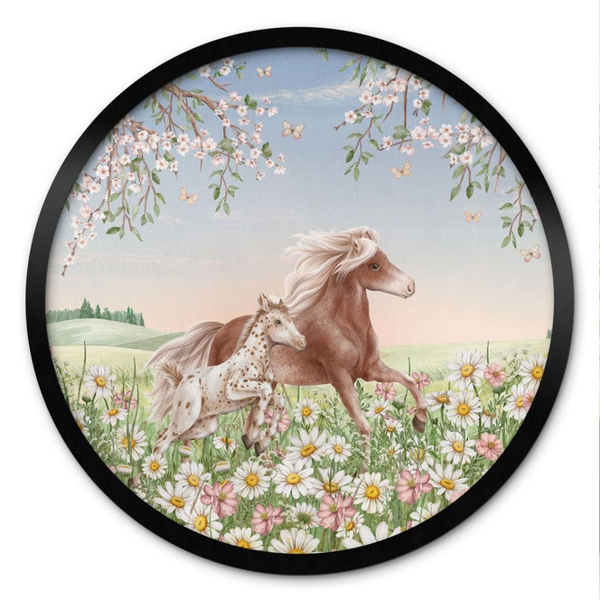 Poster Pferde auf der Blumenwiese - Kikki Belle - Rund
