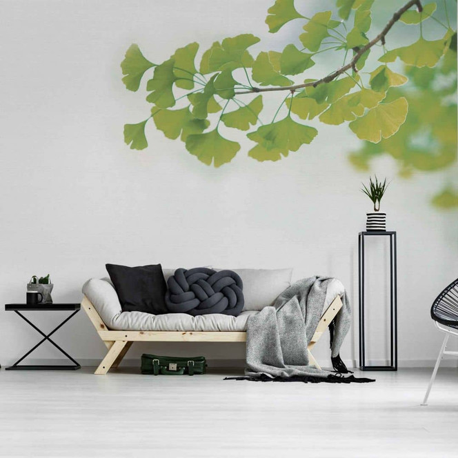 Fototapete Betonoptik Ginkgo1 in grau grün - Vliestapete Designwalls 2 - 2.55x3.5 m