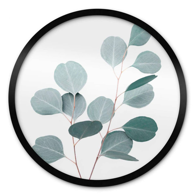 Poster Sisi & Seb - Blauer Eukalyptus - Rund