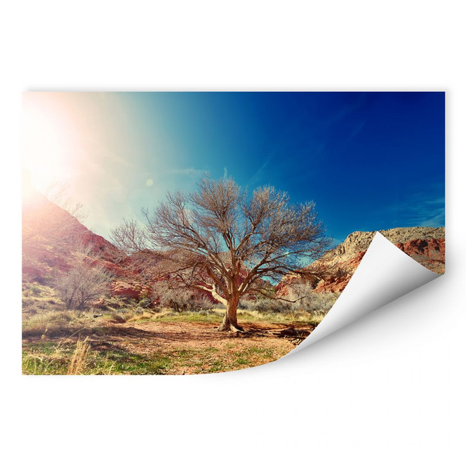 Wallprint Wüstenbaum