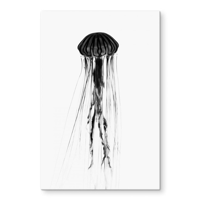 Glasbild Schwarze Qualle