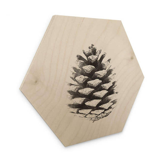Hexagon - Holz Kiefernzapfen