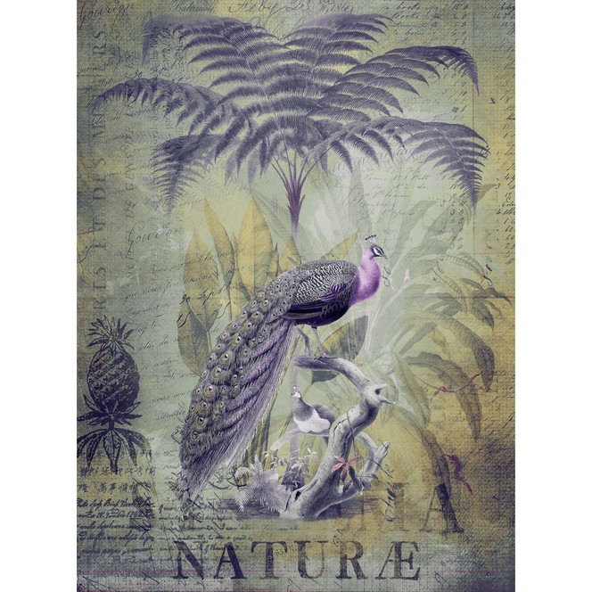 Livingwalls Fototapete ARTist Peacock Jungle mit Dschungel und Pfauen grau, grün, violett - Bild 1