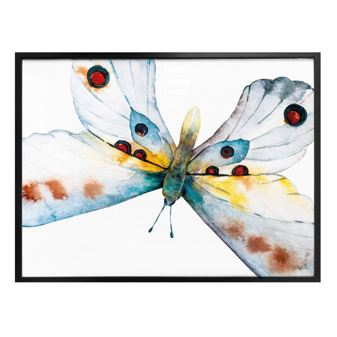 Poster Kvilis - Schmetterling 05