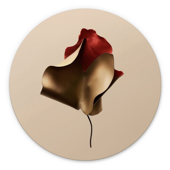 Wandbild Elegantes Blatt in Gold und Rot - Alma - Alu-Dibond Rund