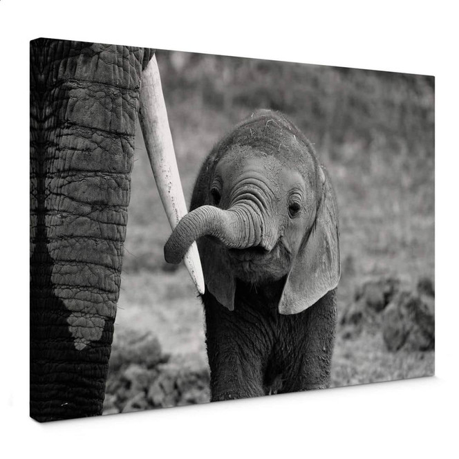 Leinwandbild Alicke - Close to Mum