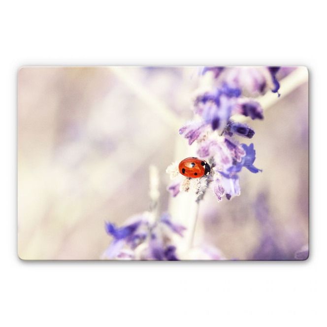Glasbild Little Friend