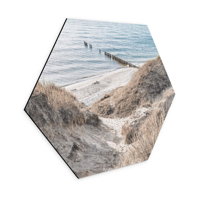Hexagon Wandbild Naturerlebnis in malerischen Ostseedünen - Alu-Dibond