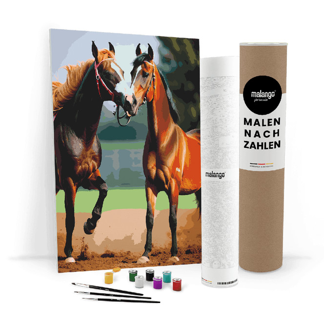 Malen nach Zahlen Leinwandbild - Zwei braune Pferde