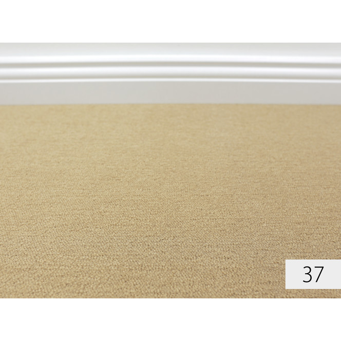 Prominent Hotel Teppichboden Meterware in 37