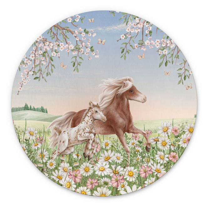Wandbild Pferde auf der Blumenwiese - Kikki Belle - Alu-Dibond Rund