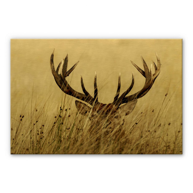 Alu-Dibond mit Goldeffekt - Wachsamer Hirsch