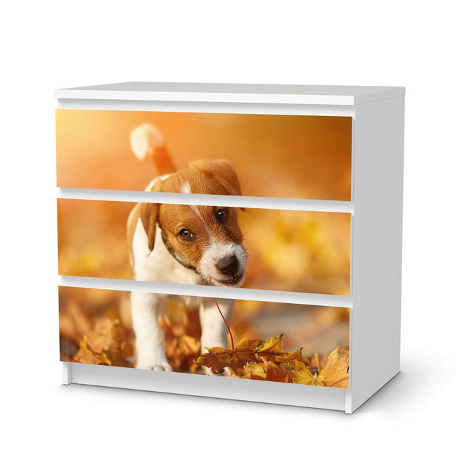 Klebefolie IKEA Malm Kommode 3 Schubladen - Jack the Puppy- Bild 1