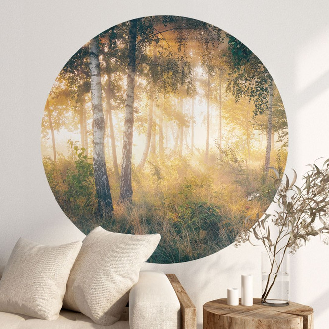 Wandtattoo Sonnenschein im Birkenwald - Kado - Rund