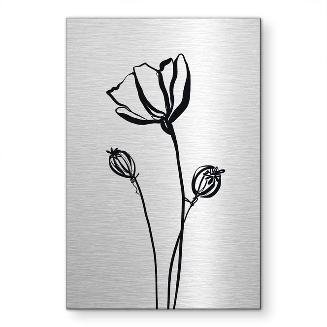 Alu-Dibond gebürstet mit Silbereffekt - Line Art Mohnblume - Cats & Dotz