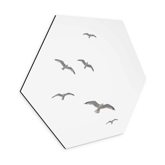 Hexagon Wandbild Möwen am Himmel - Alu-Dibond