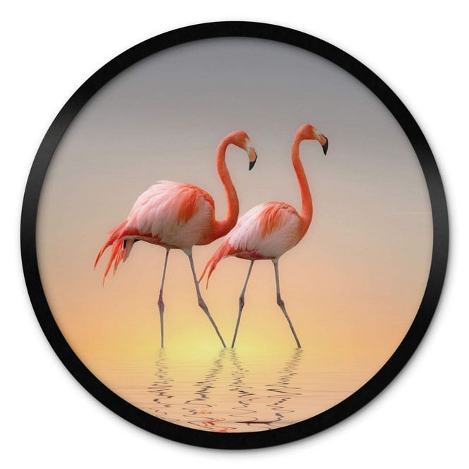 Poster Cseresnjes - Flamingos im Abendlicht - Rund