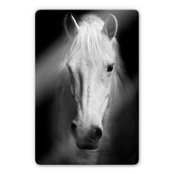Glasbild White Horse