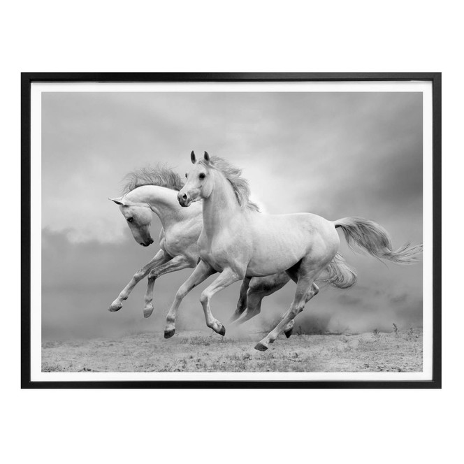 Poster Pferde im Galopp