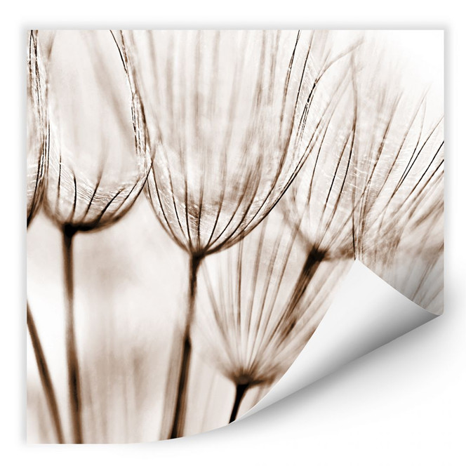 Wallprint Fliegerschirmchen - quadratisch