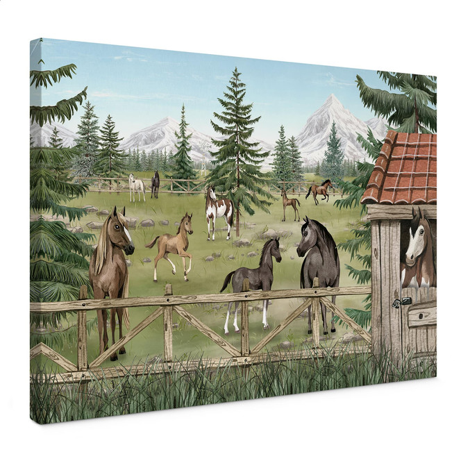 Leinwandbild Pferdegehege im Naturpark - Oliver Robins
