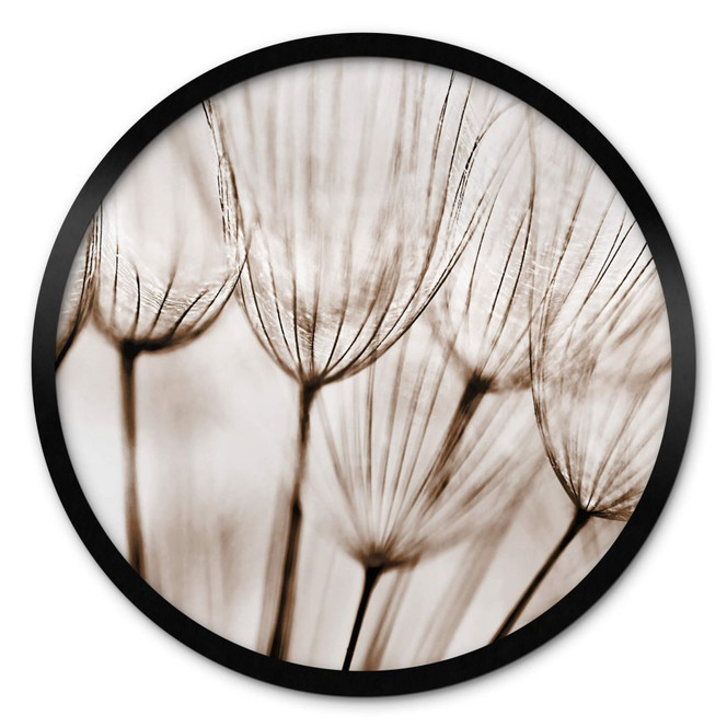 Poster Fliegerschirmchen - Rund