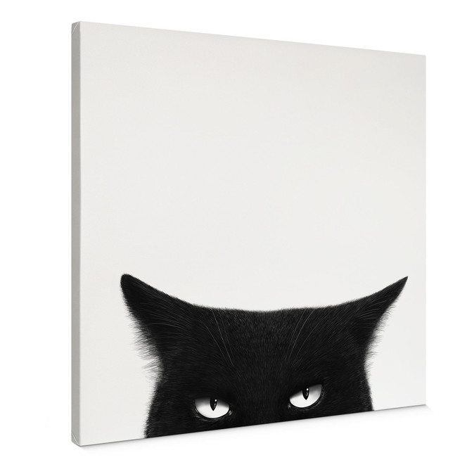 Leinwandbild Blick einer schwarzen Katze - Korenkova - Quadratisch