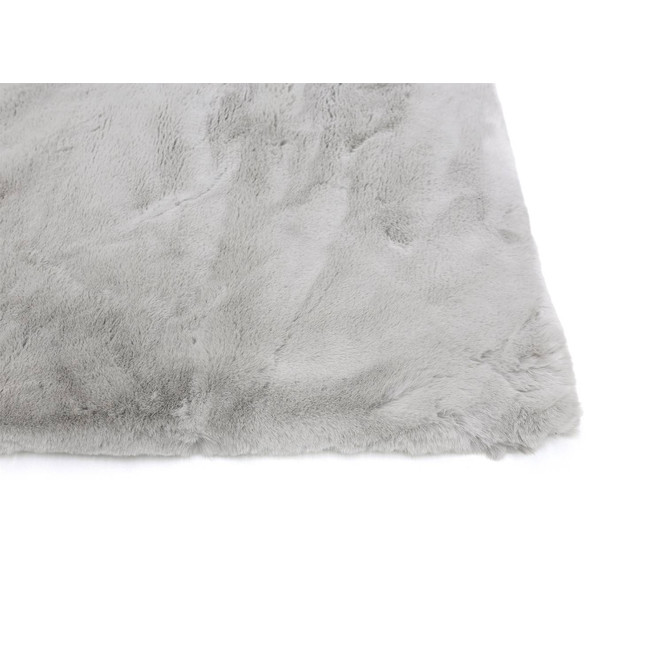 Tender in Silber 004