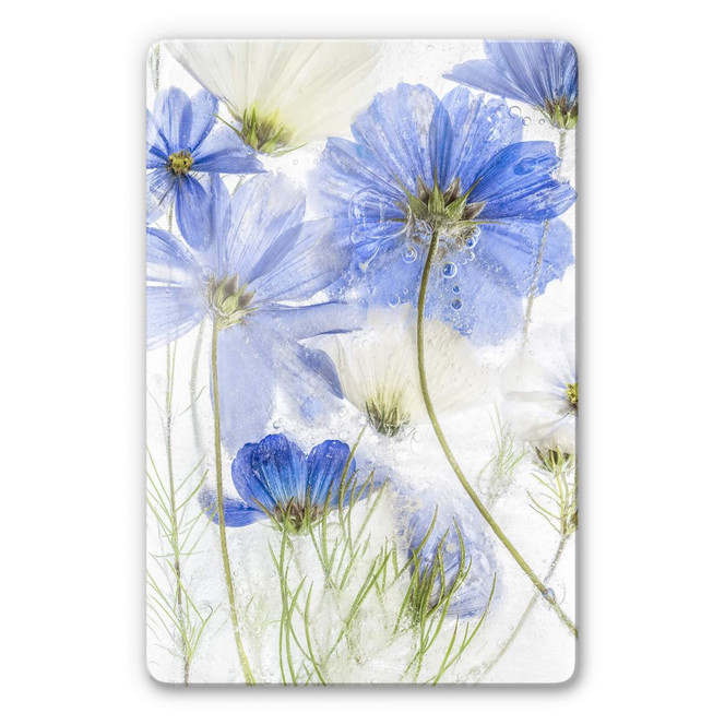 Glasbild Disher - Blue Frozen