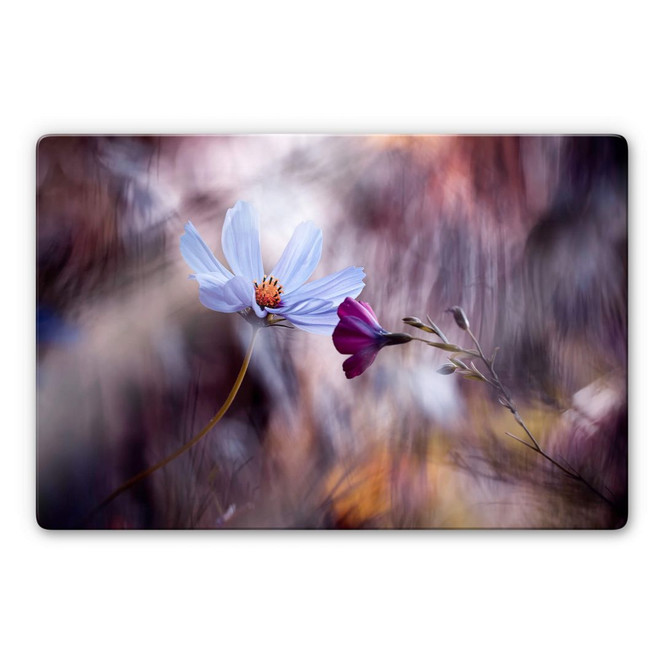Glasbild Bravin - Rendezvous zweier Blumen
