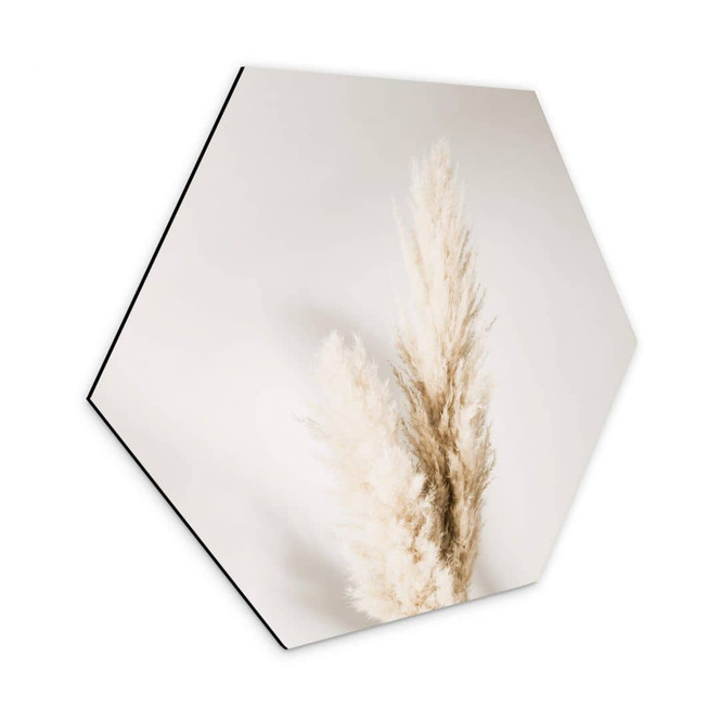 Hexagon - Alu-Dibond 1X Studio - Gebundenes Pampasgras