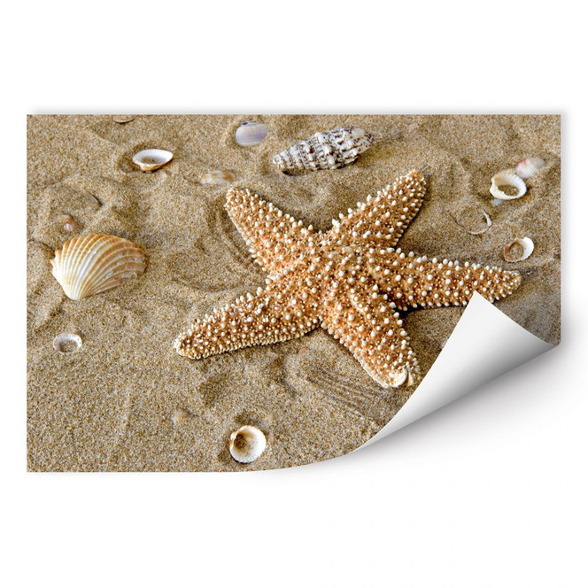 Wallprint Patrick der Seestern