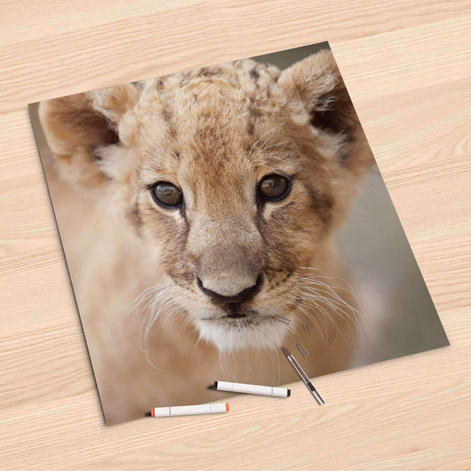 Folienbogen (60x60cm) - Simba- Bild 1