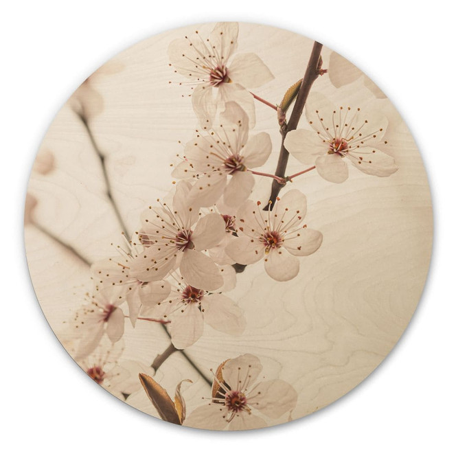Holzbild Zweig mit weissen Kirschblüten - Sisi & Seb - Rund