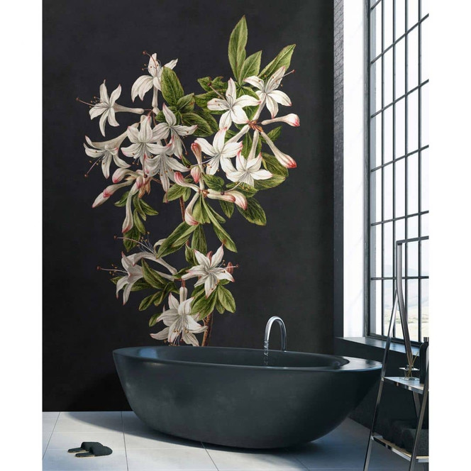 Livingwalls Fototapete Walls by Patel 3 Midnight Garden 2 grün, schwarz, weiss, rot, braun - Bild 1