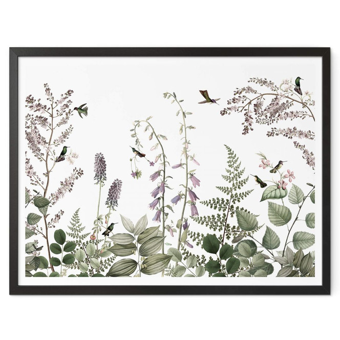 Poster Sir Edward - Kolibris im Garten