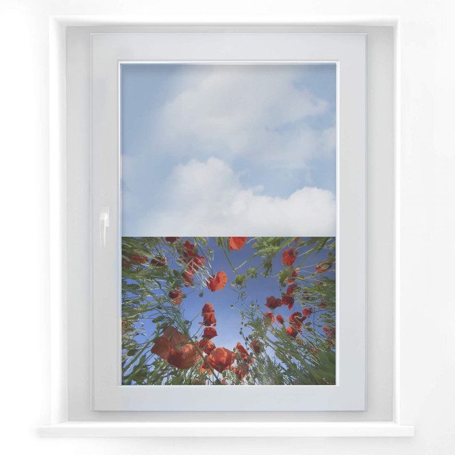 Fensterbild Mohnfeld