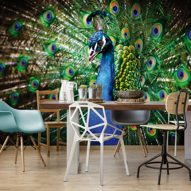 Fototapete Beautiful Peacock - 384x260cm - Bild 1