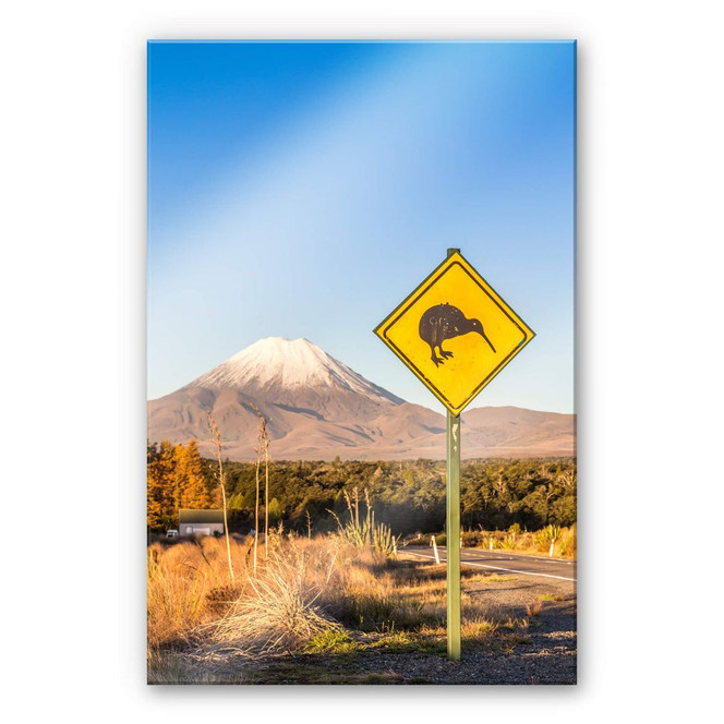 Acrylglasbild Colombo - Strassenschild: Achtung Kiwi