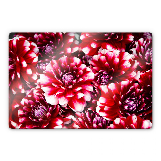 Glasbild Rote Blütenpracht