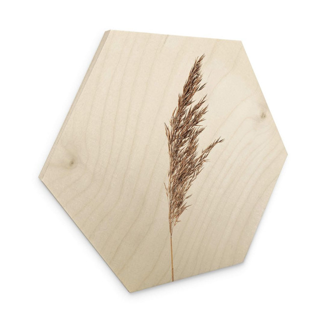 Hexagon - Holz Ziergras No. 1