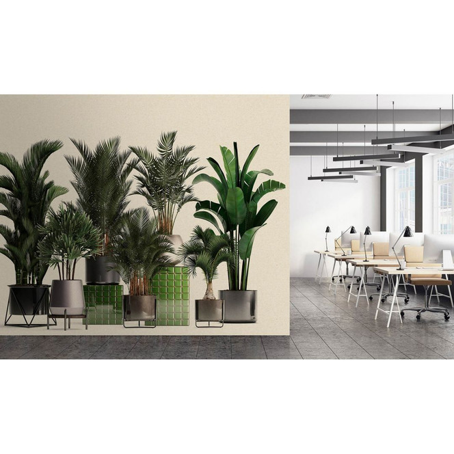 Livingwalls Fototapete Walls by Patel 3 Plant Shop 1 grün, beige, grau, schwarz - Bild 1