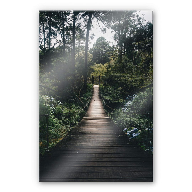 Acrylglasbild Waldweg