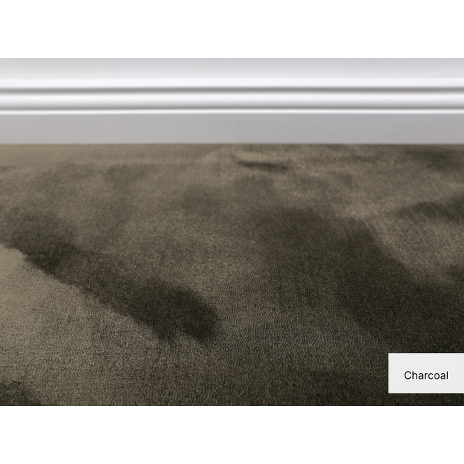 Elegance Teppichboden Meterware in Charcoal